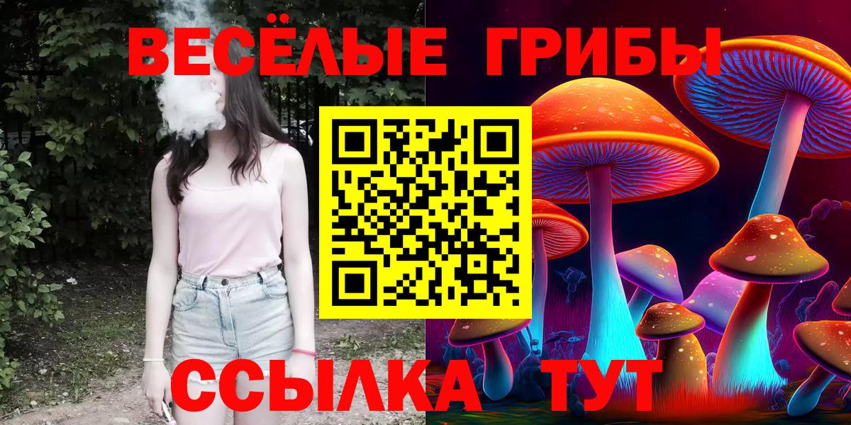 Галлюциногенные грибы Psilocybe  Вход с VPN  Кинель 